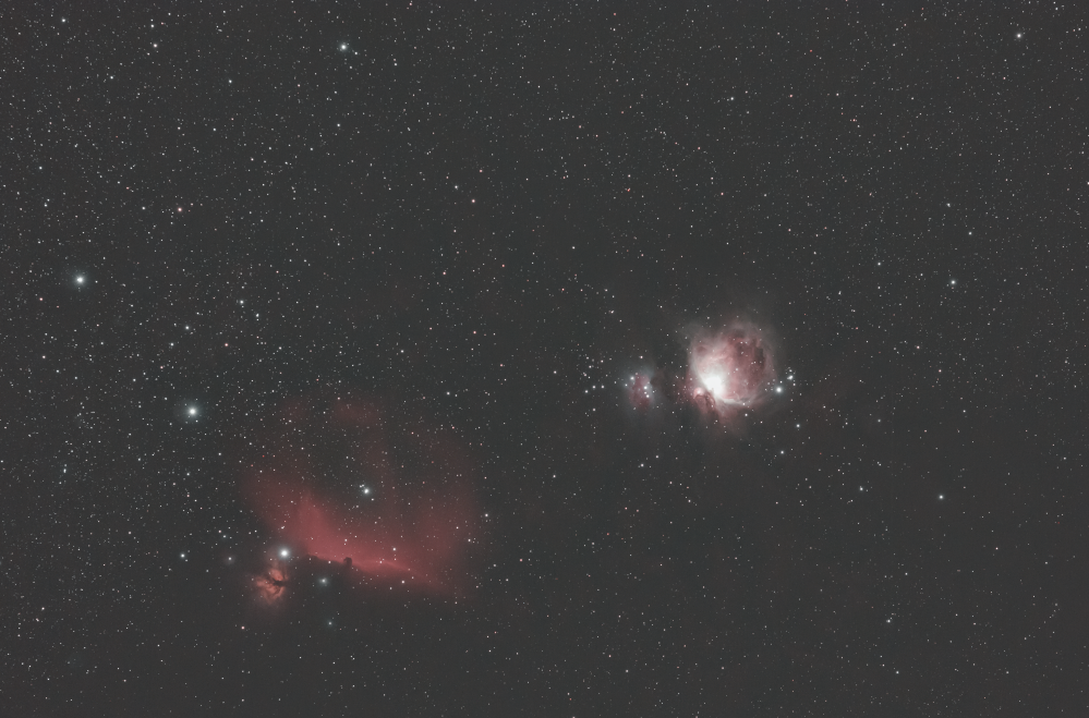 Orion